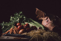 Still Life Pratice